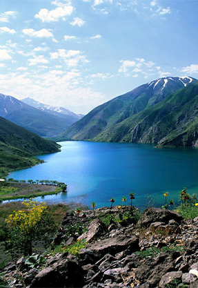 category-img