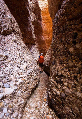 category-img